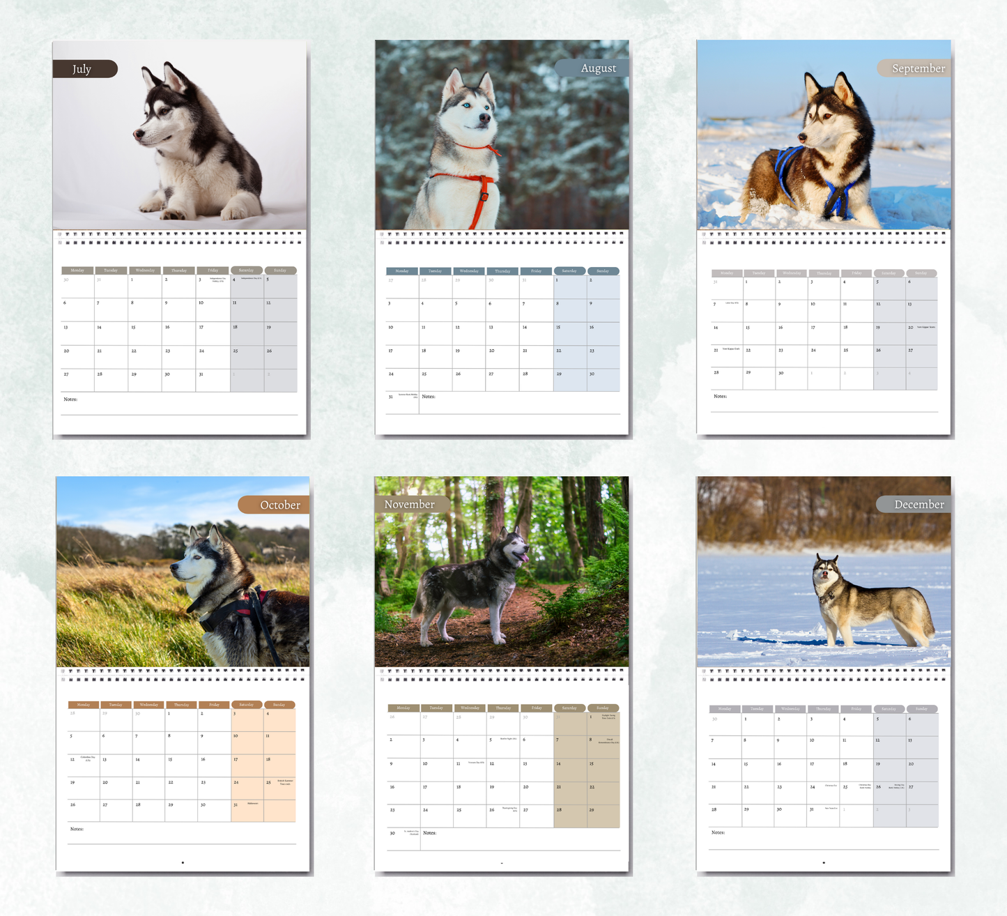 Siberian Husky Calendar 2026