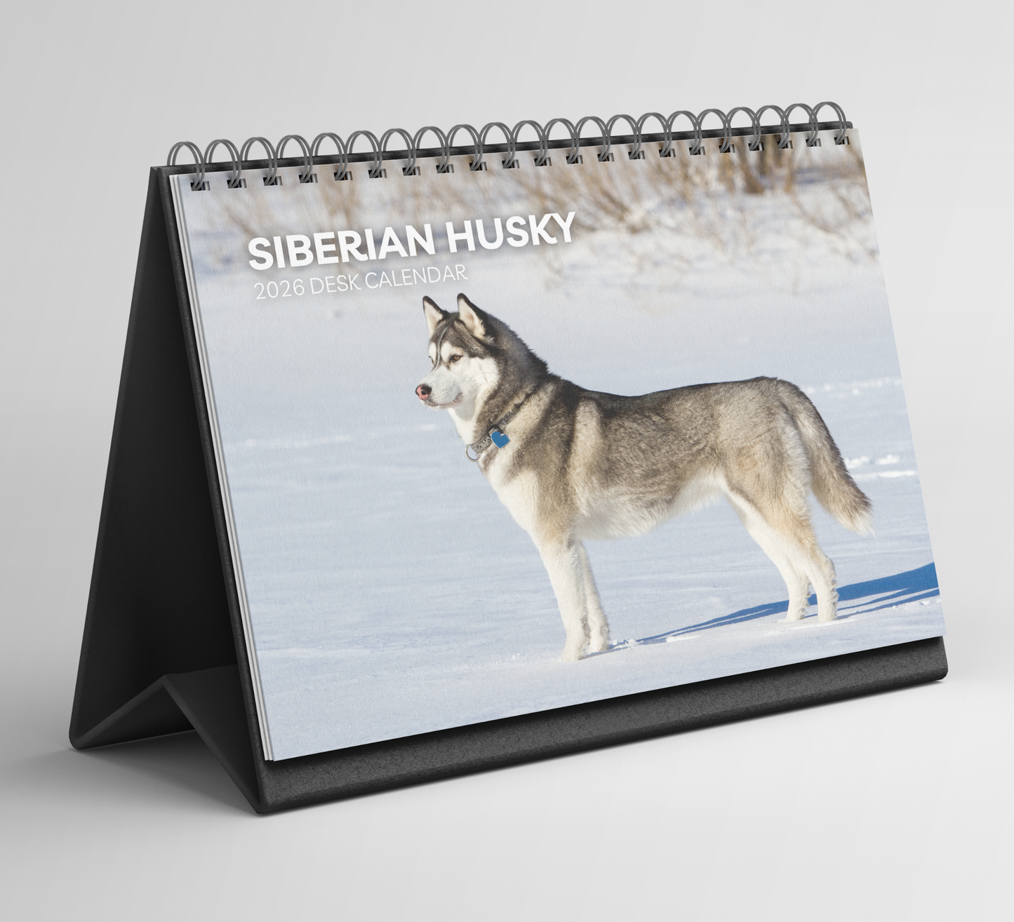 Siberian Husky Desk Calendar 2026-2027