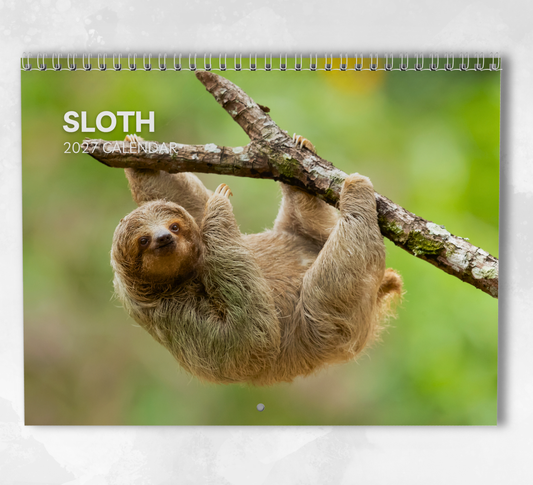 Sloth Calendar 2027