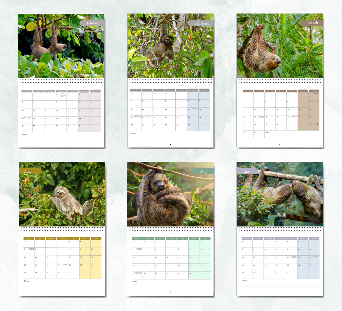 Sloth Calendar 2027