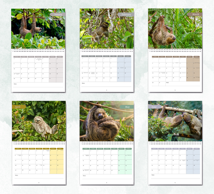 Sloth Calendar 2027
