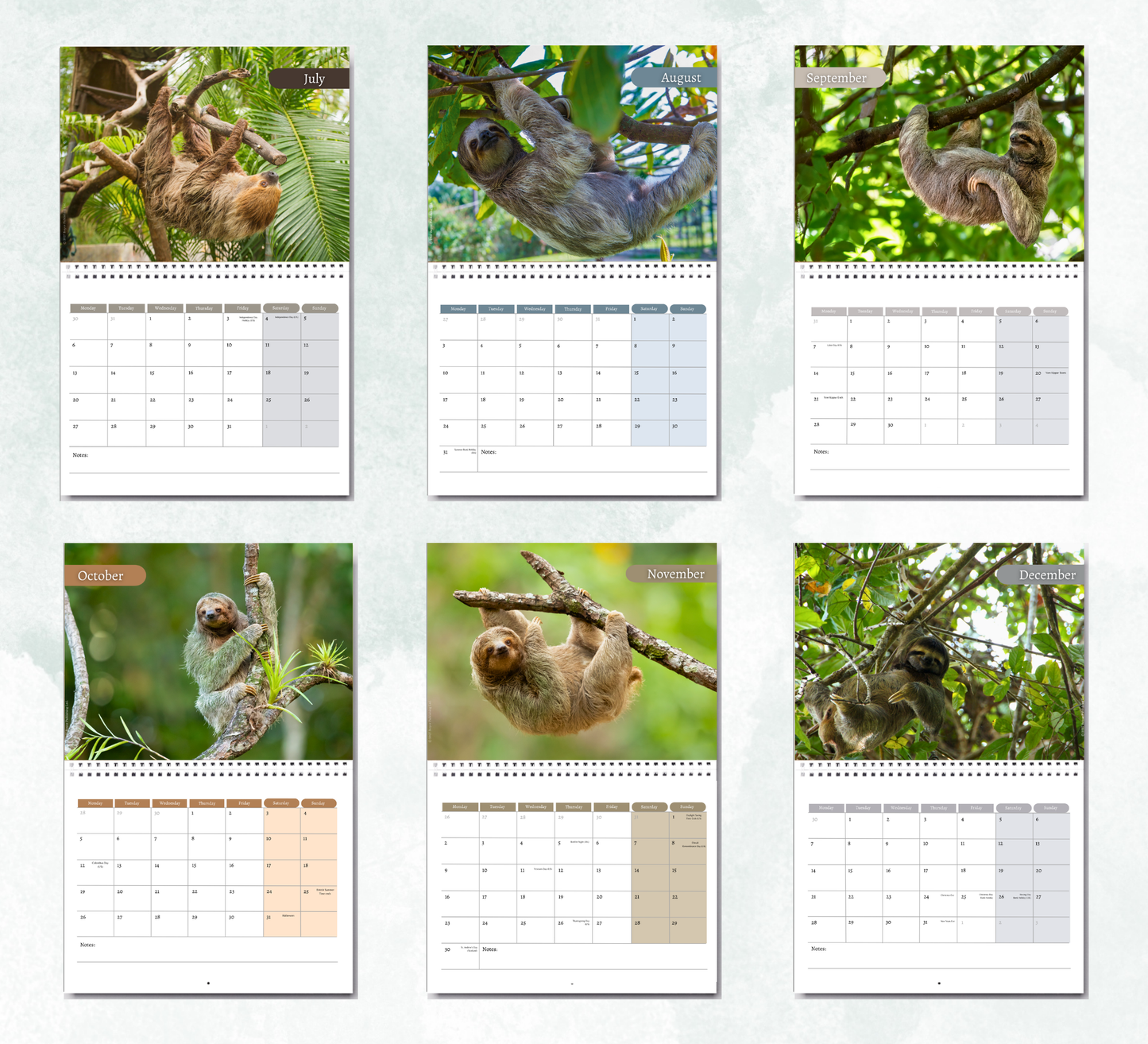 Sloth Calendar 2027