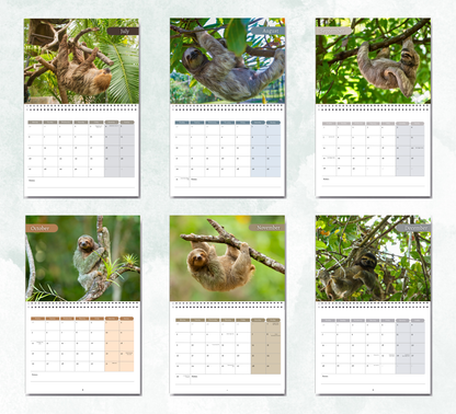 Sloth Calendar 2027