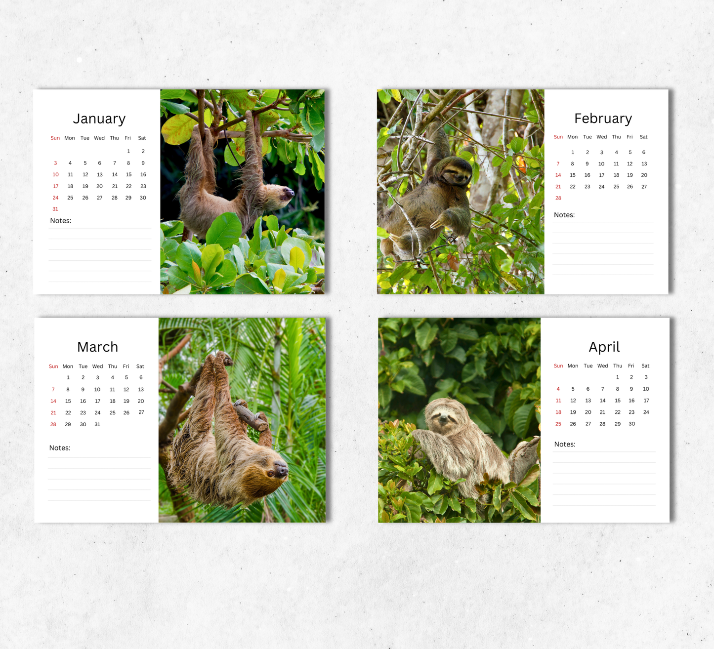 Sloth Desk Calendar 2027-2028