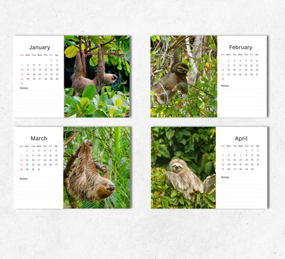 Sloth Desk Calendar 2027-2028