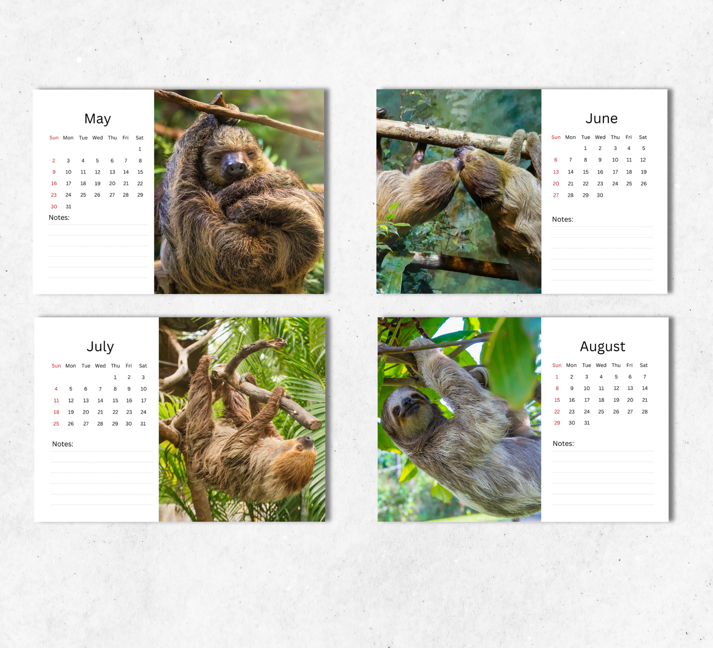 Sloth Desk Calendar 2027-2028