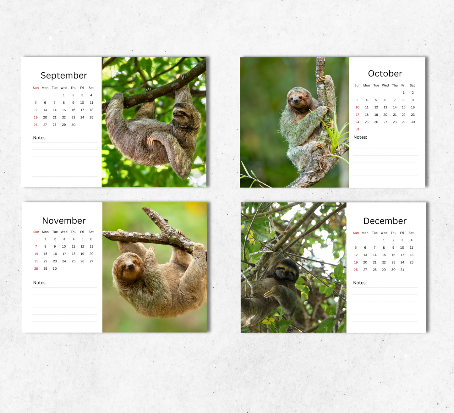 Sloth Desk Calendar 2027-2028