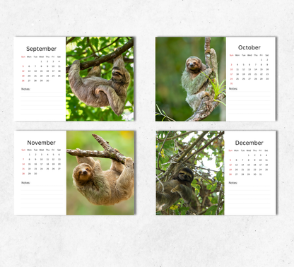 Sloth Desk Calendar 2027-2028