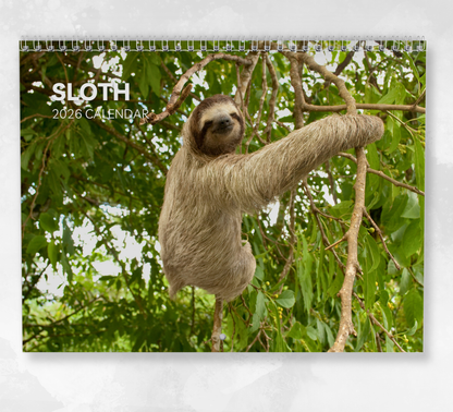 Sloth Calendar 2026