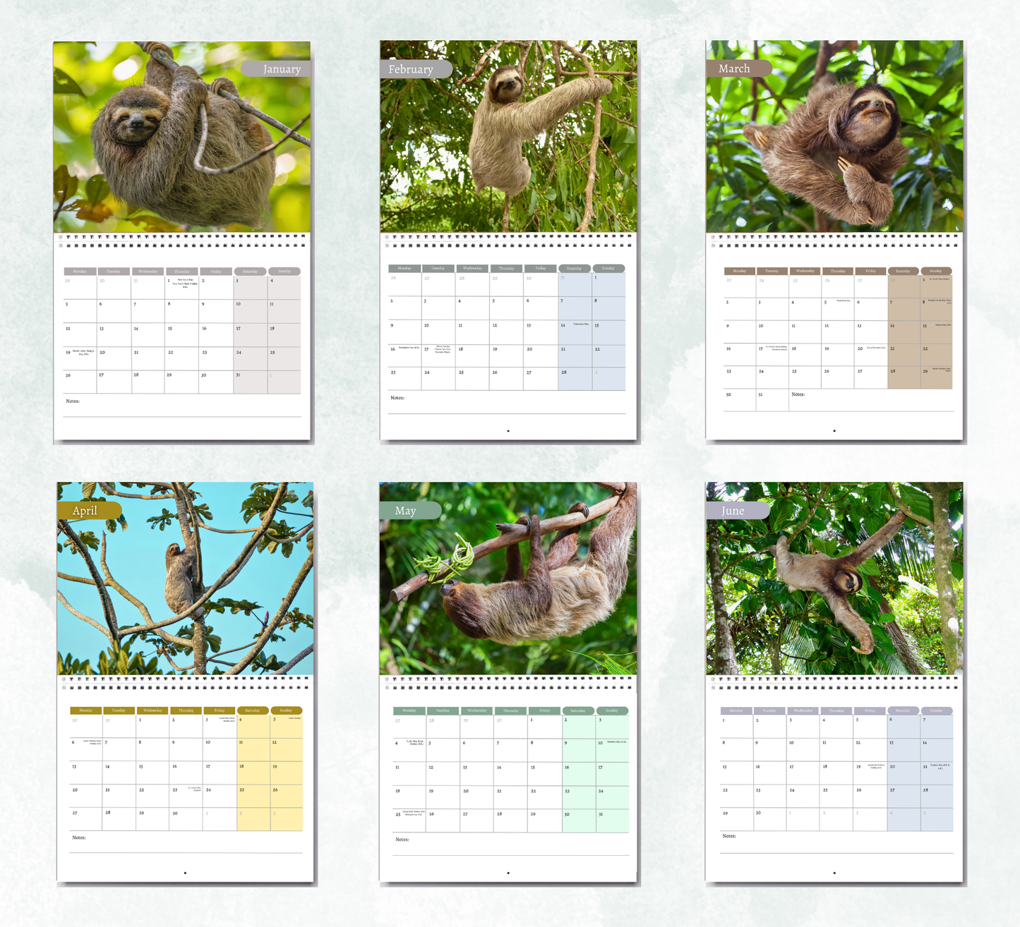 Sloth Calendar 2026