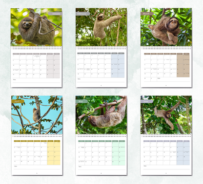 Sloth Calendar 2026