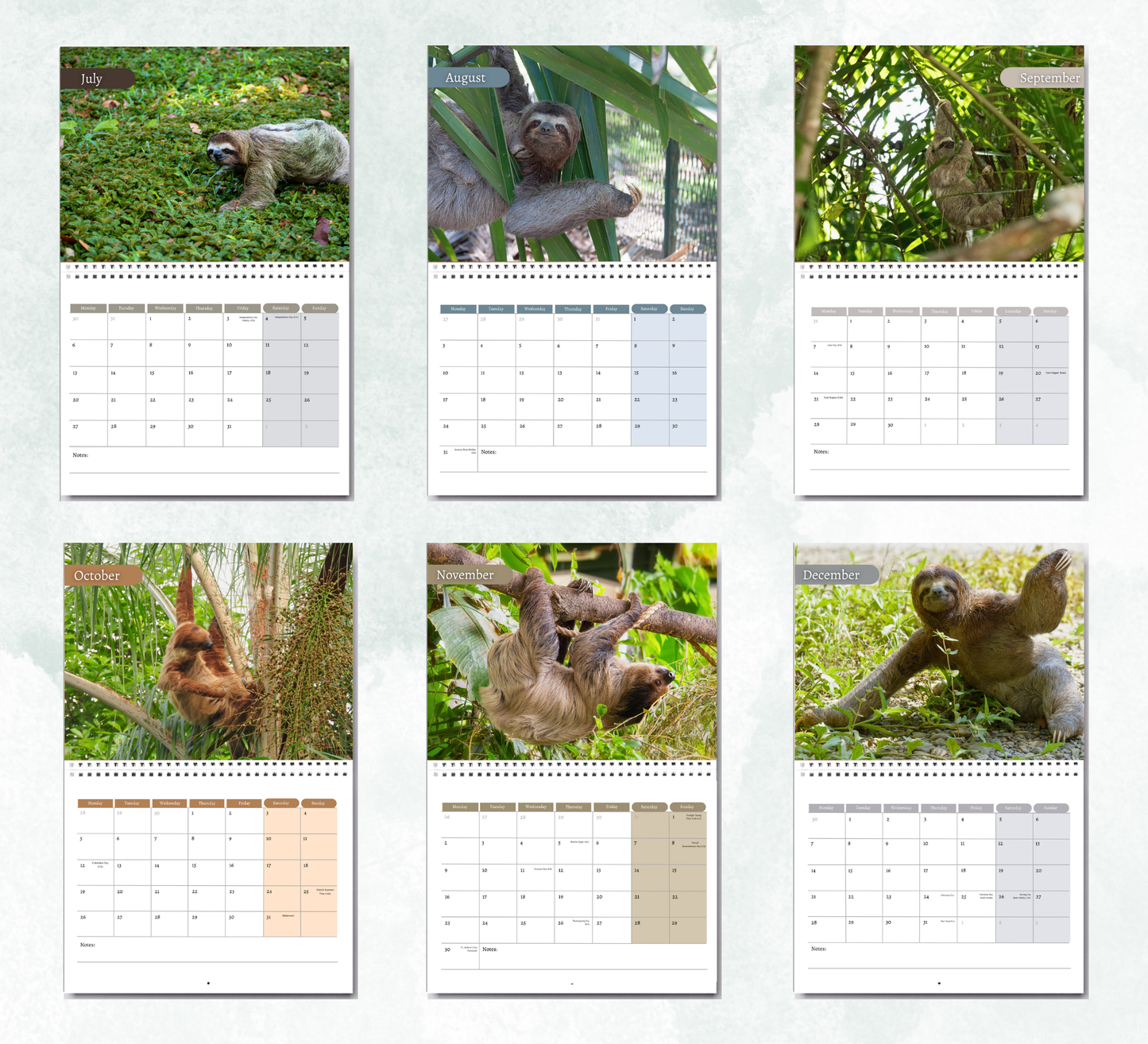 Sloth Calendar 2026
