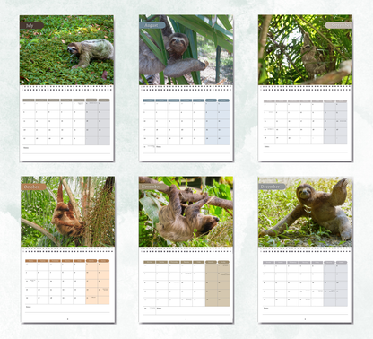 Sloth Calendar 2026