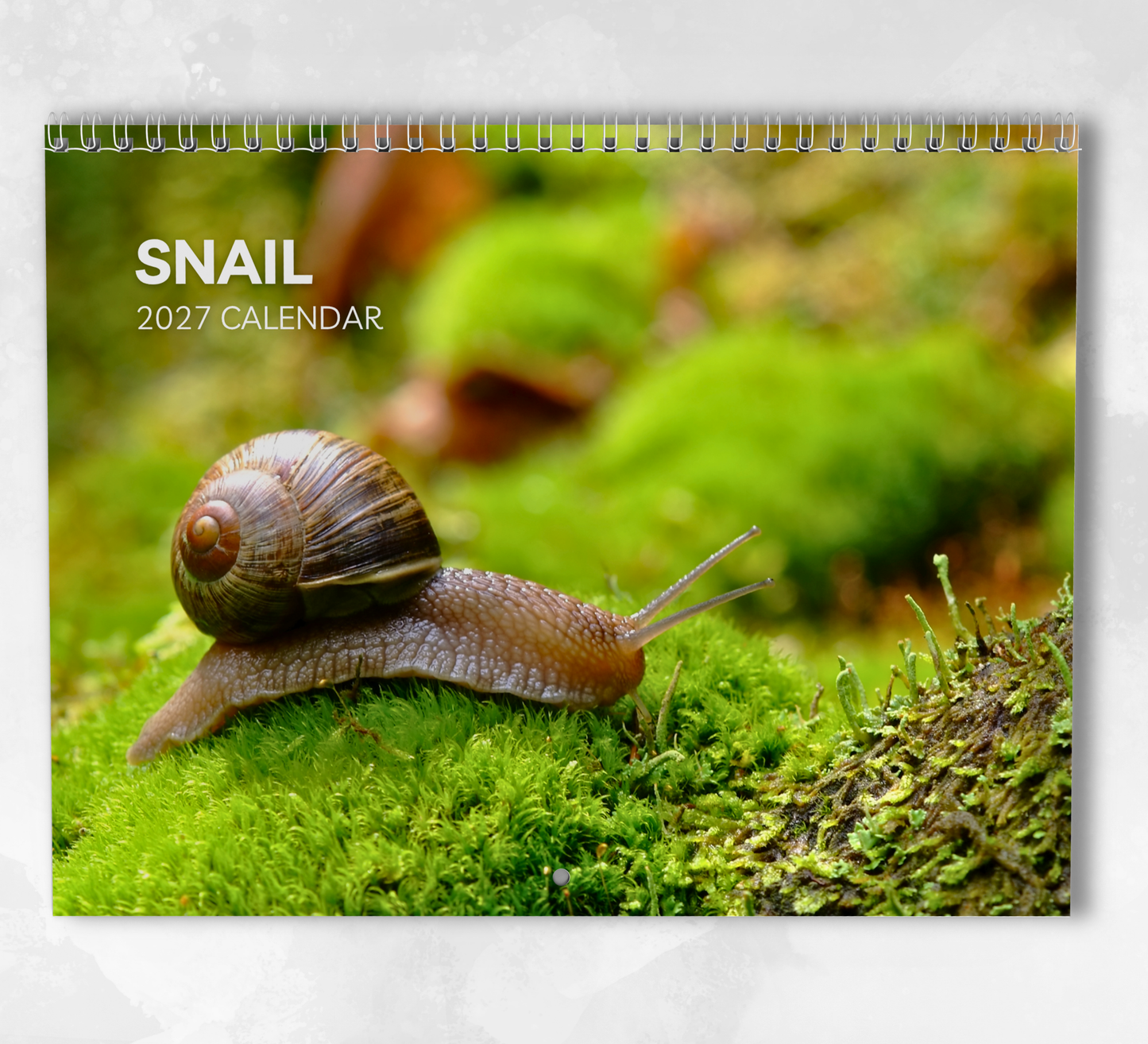 Snail Calendar 2027