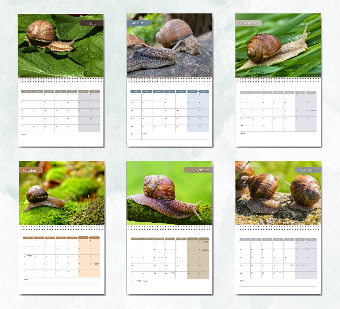 Snail Calendar 2027