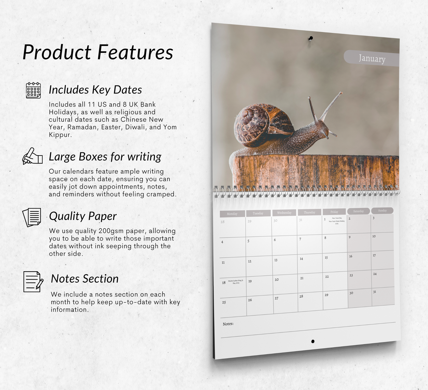 Snail Calendar 2027