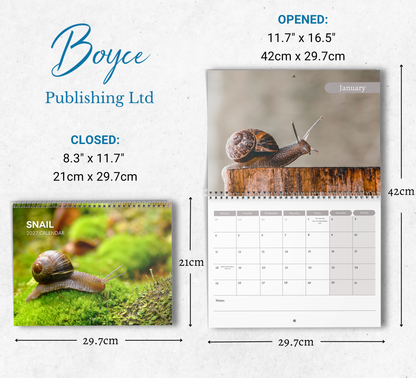 Snail Calendar 2027