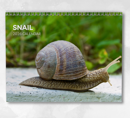Snail Calendar 2026