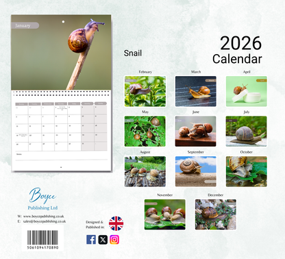 Snail Calendar 2026
