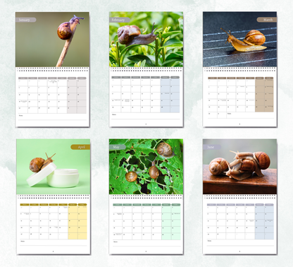 Snail Calendar 2026