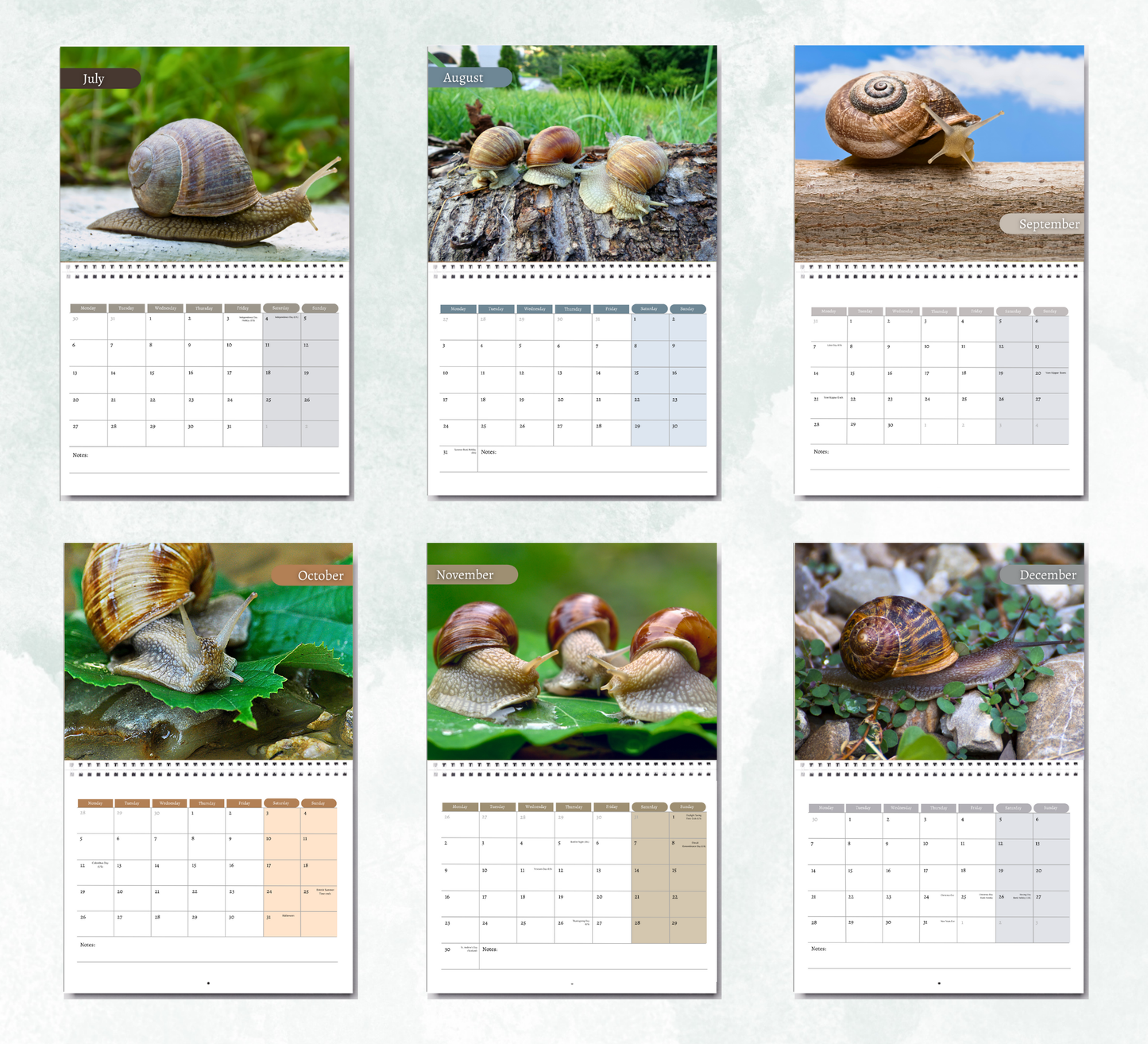 Snail Calendar 2026