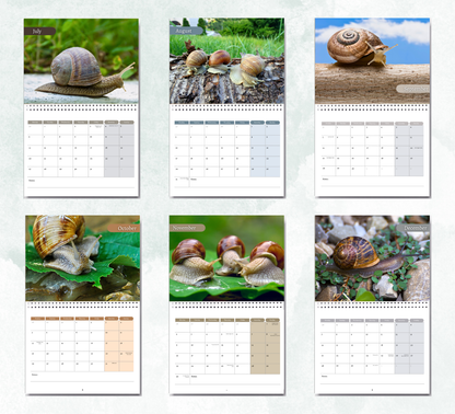 Snail Calendar 2026