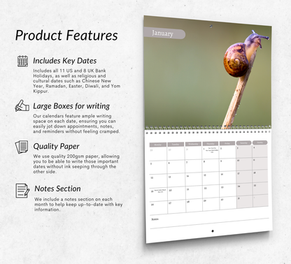 Snail Calendar 2026