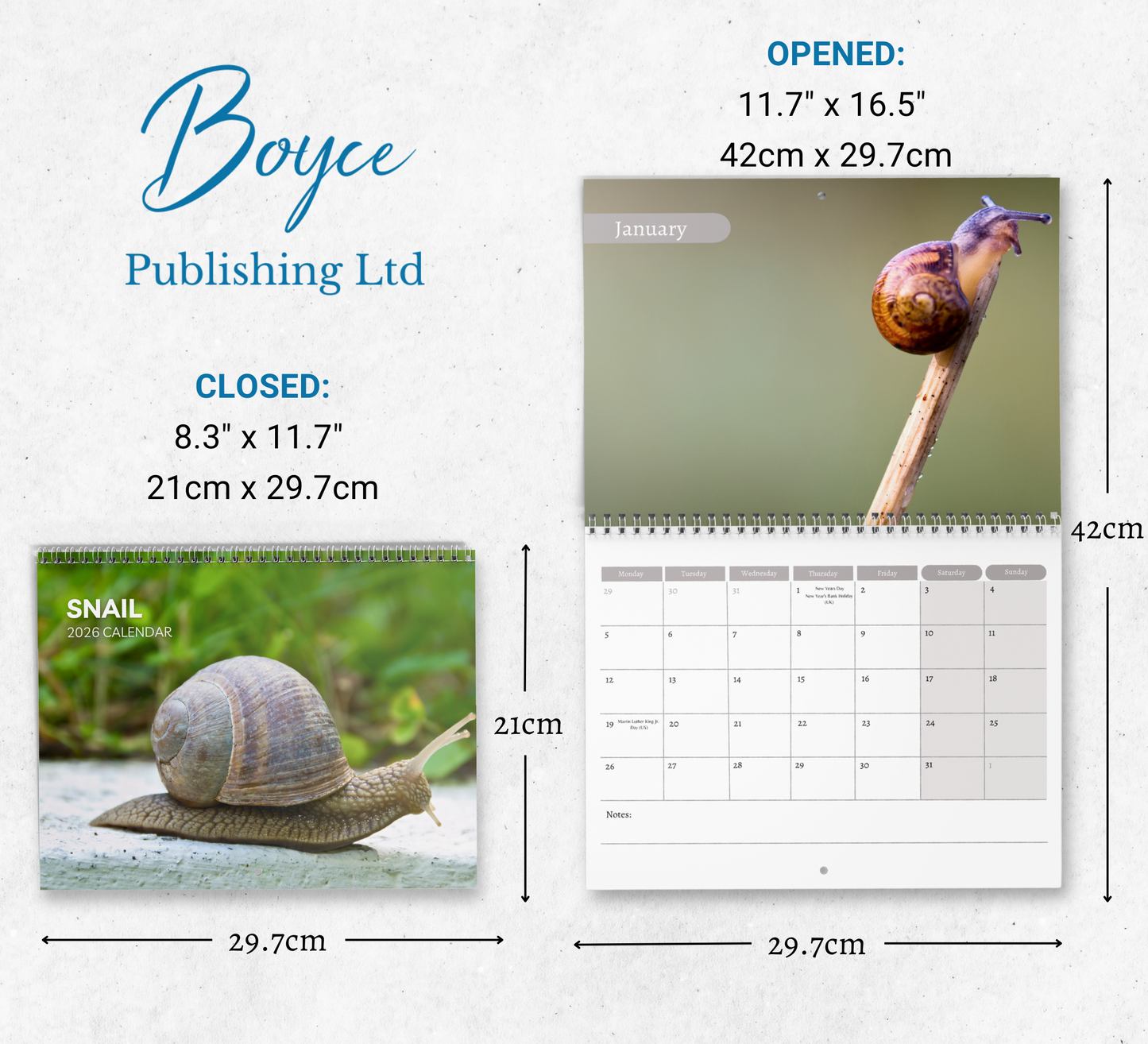 Snail Calendar 2026