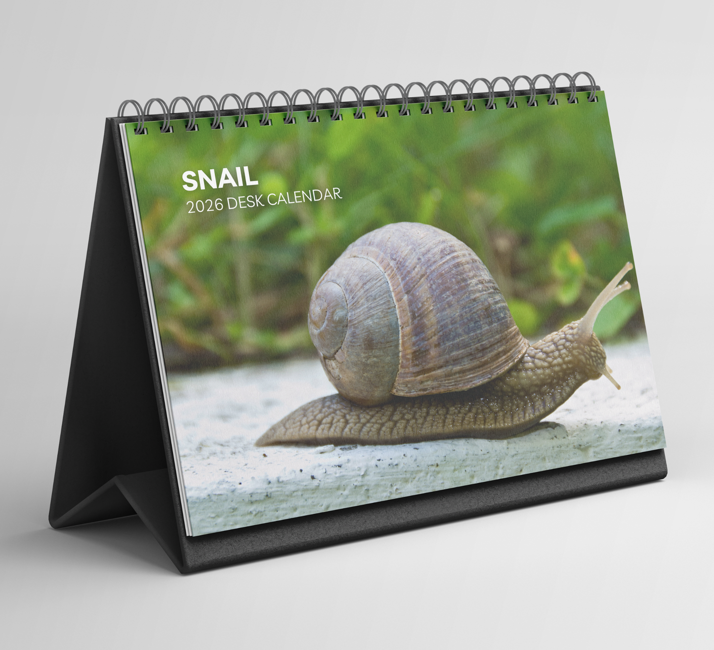 Snail Desk Calendar 2026-2027