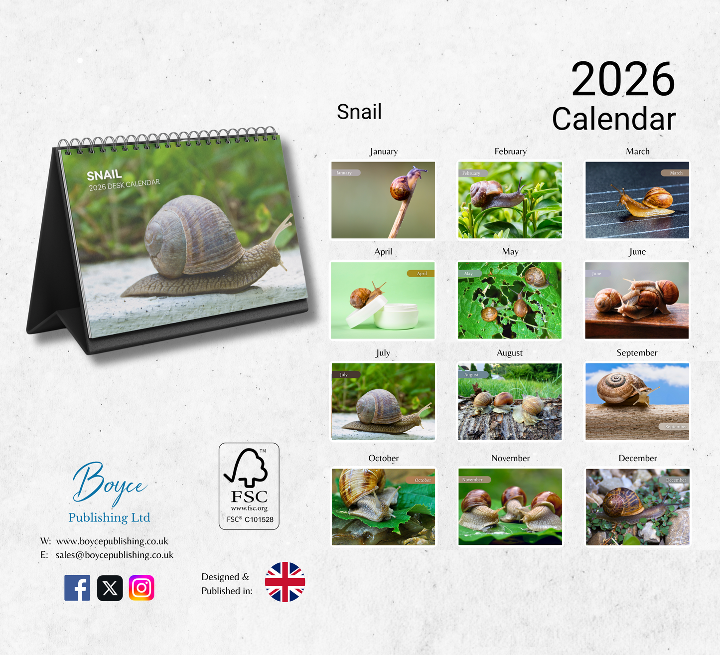 Snail Desk Calendar 2026-2027