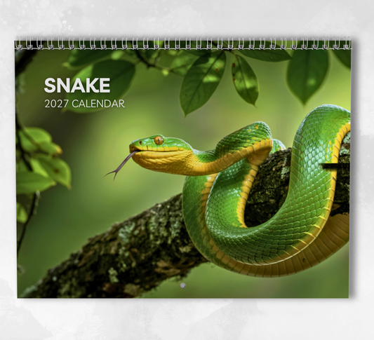 Snake Calendar 2027