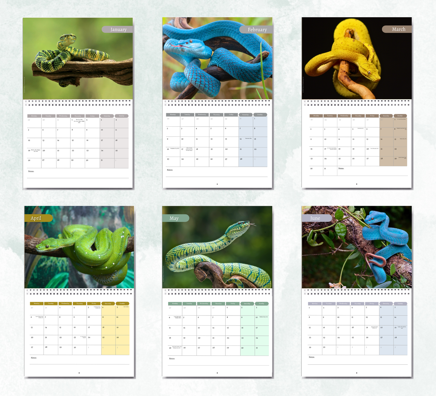 Snake Calendar 2027