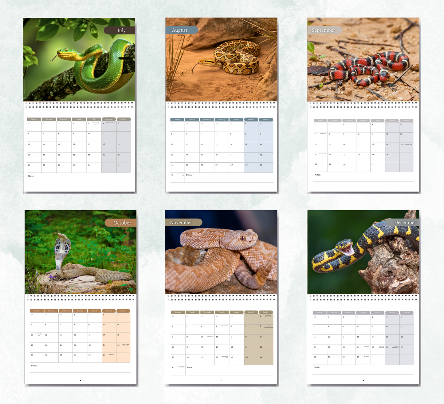 Snake Calendar 2027