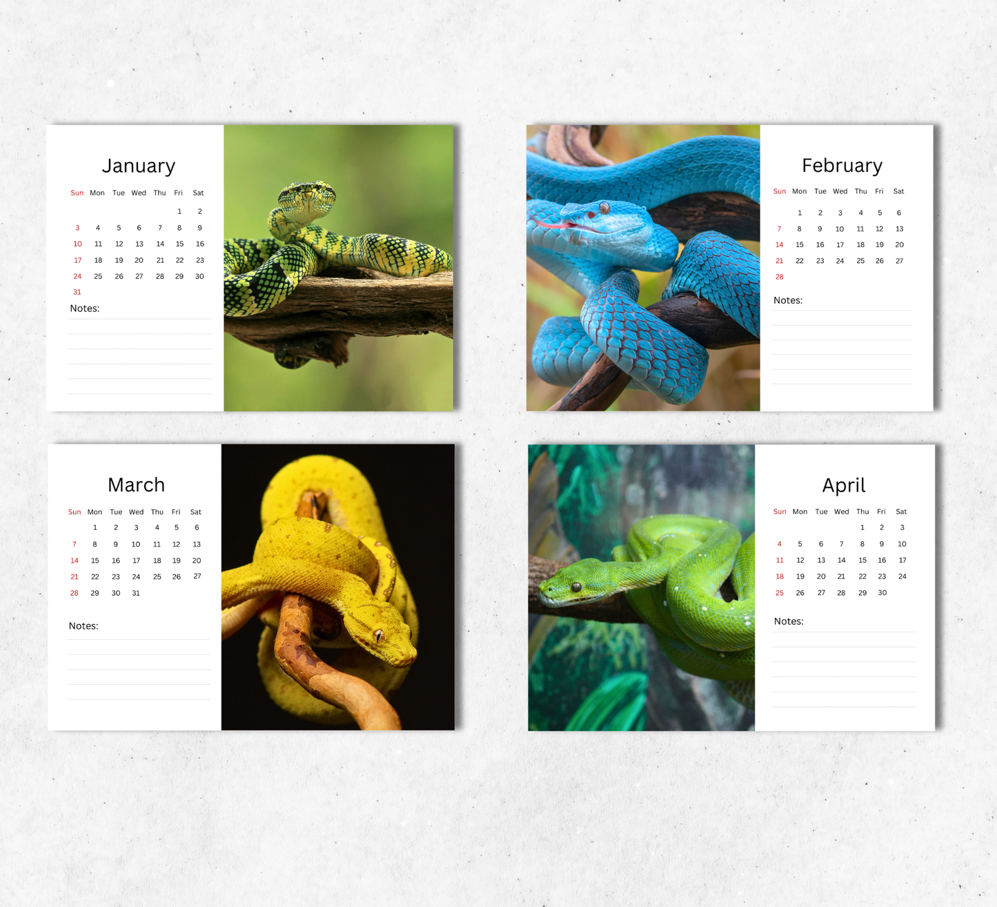 Snake Desk Calendar 2027-2028