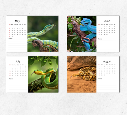 Snake Desk Calendar 2027-2028