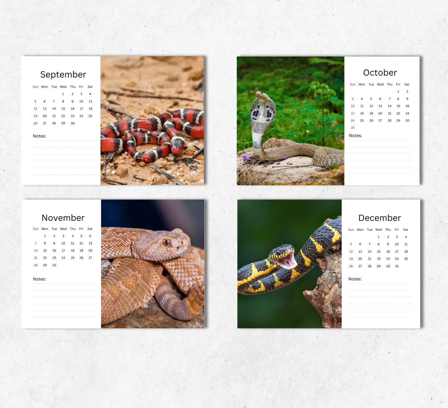 Snake Desk Calendar 2027-2028