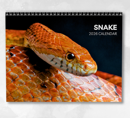 Snake Calendar 2026