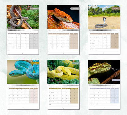Snake Calendar 2026