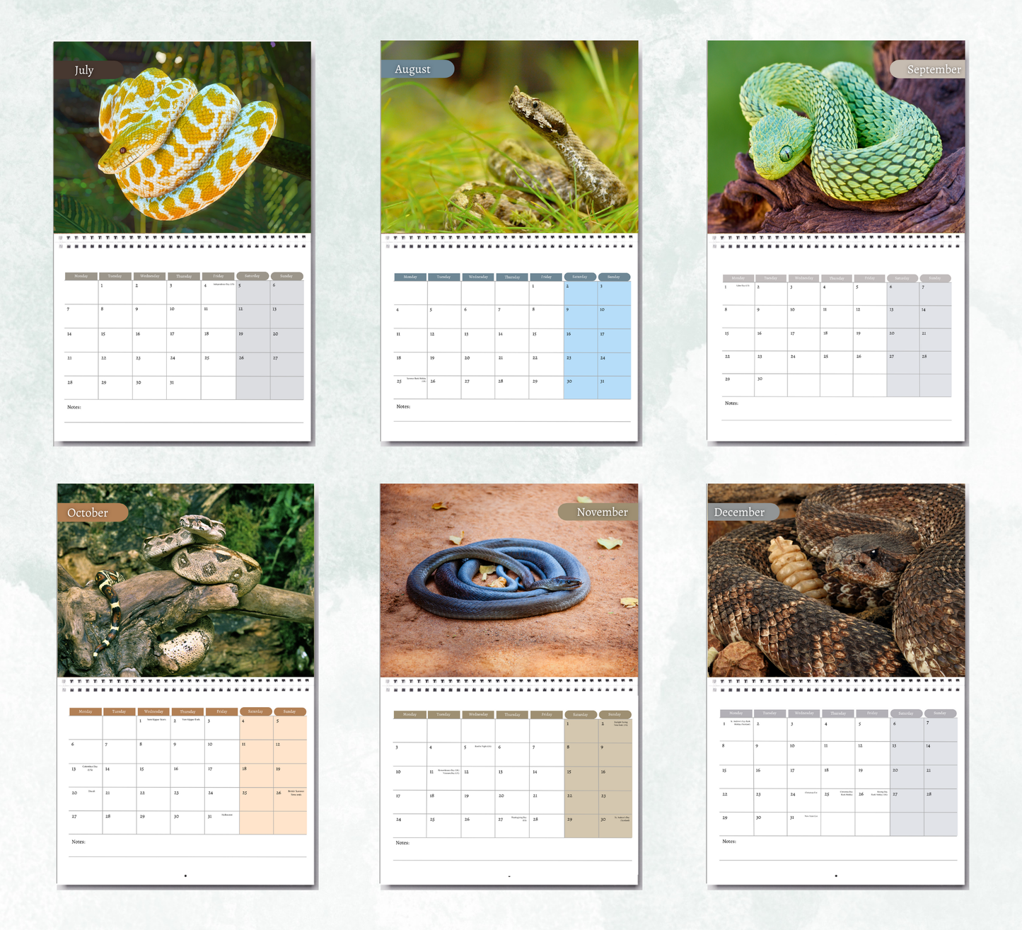Snake Calendar 2026