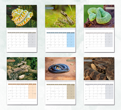 Snake Calendar 2026