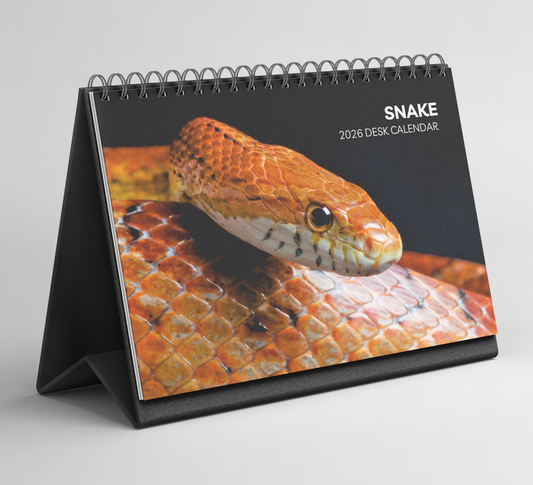 Snake Desk Calendar 2026-2027