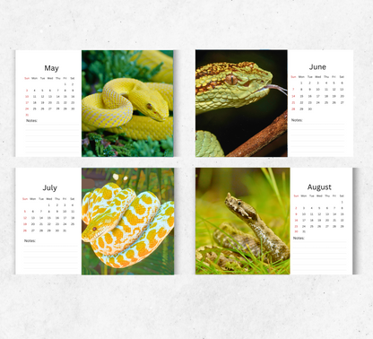 Snake Desk Calendar 2026-2027