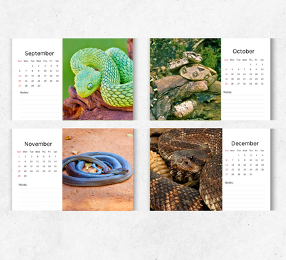 Snake Desk Calendar 2026-2027