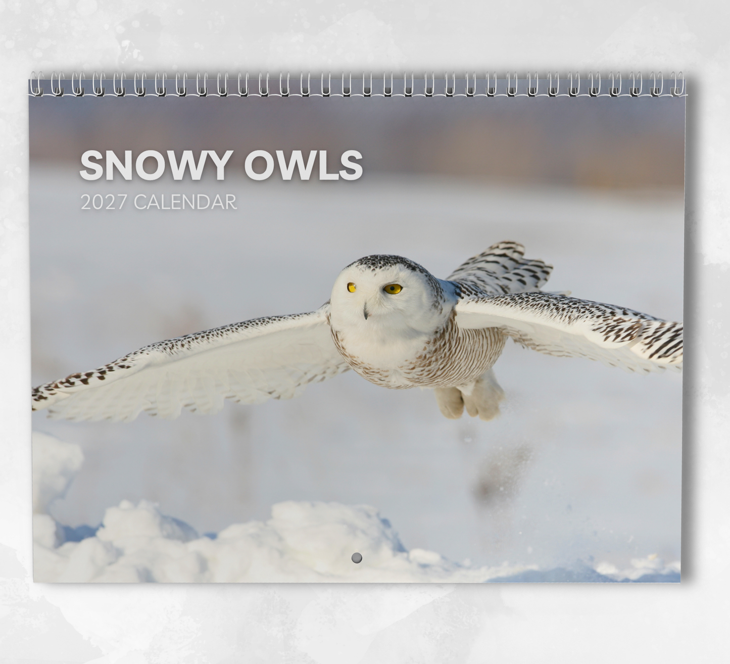 Snowy Owls Calendar 2027