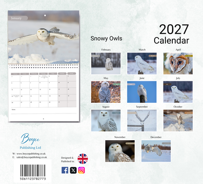 Snowy Owls Calendar 2027