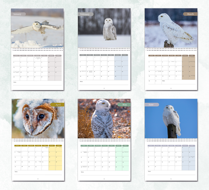 Snowy Owls Calendar 2027