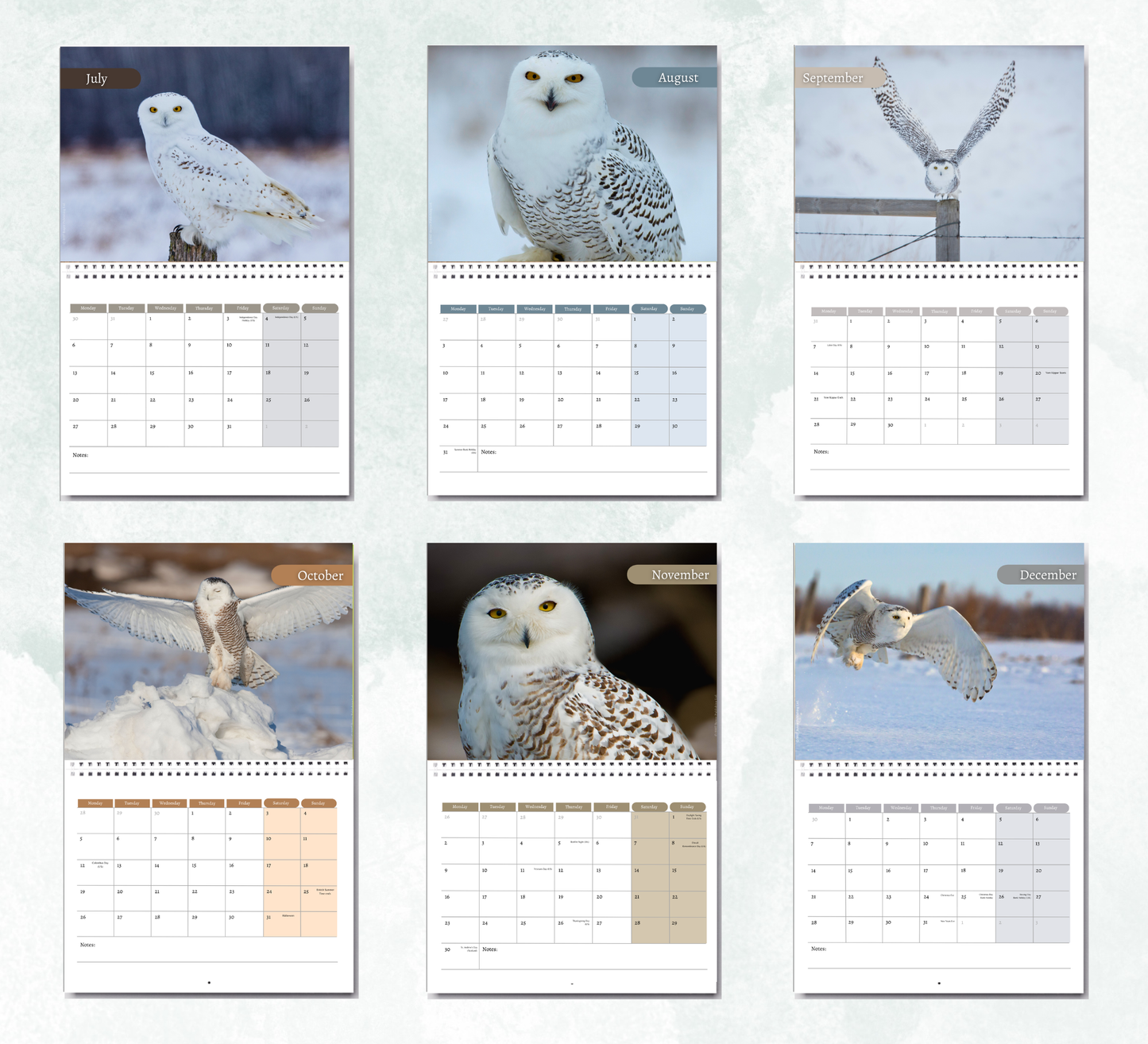 Snowy Owls Calendar 2027