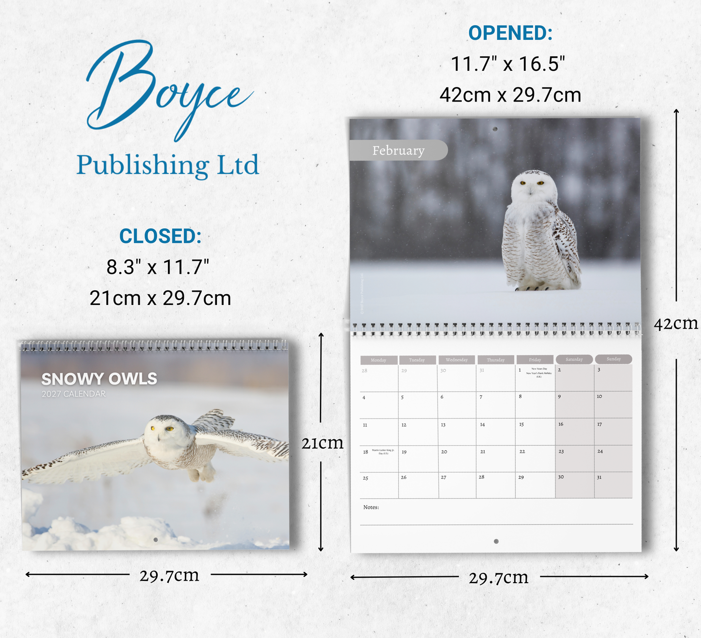 Snowy Owls Calendar 2027