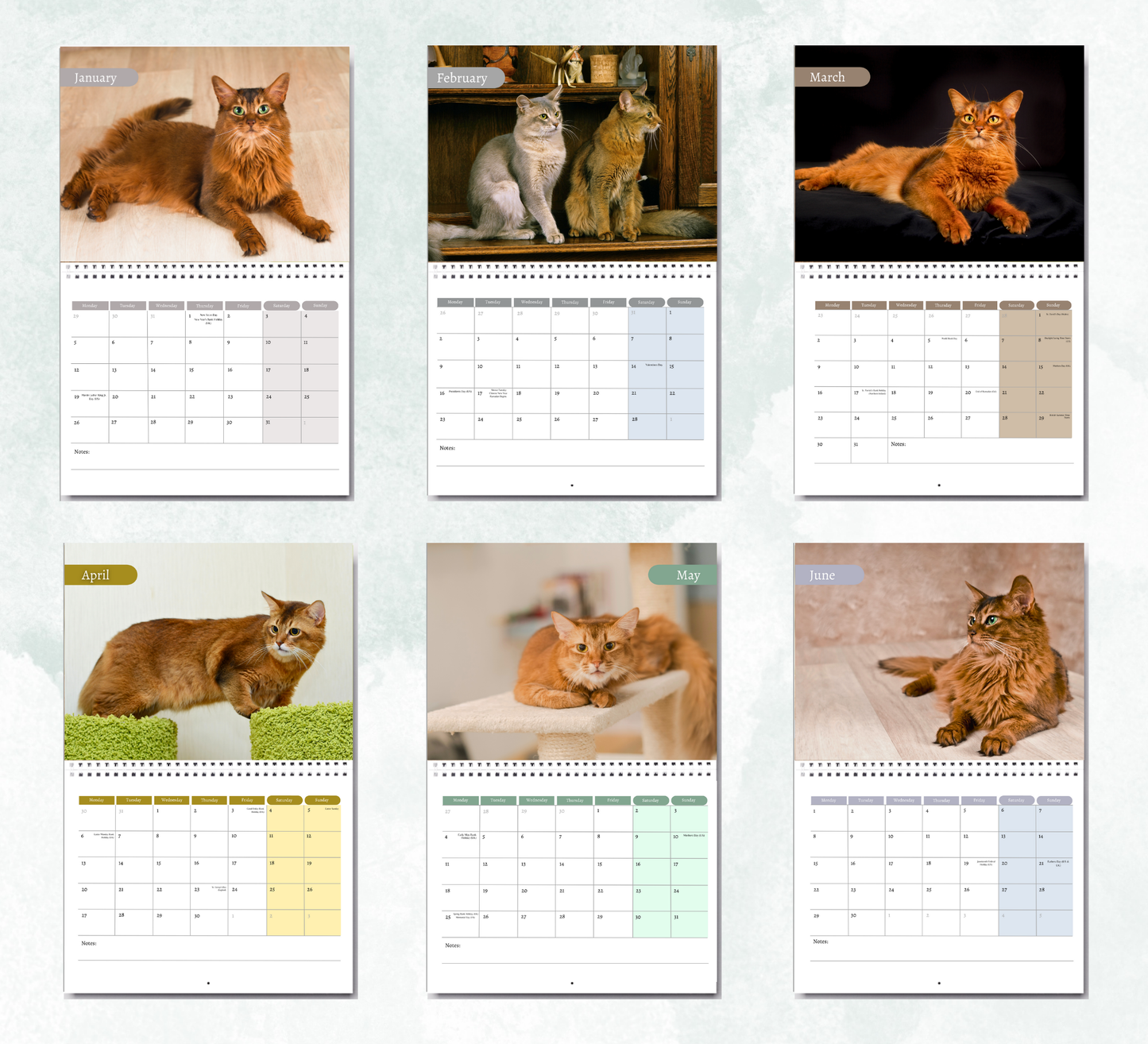 Somali Ca Calendar 2026