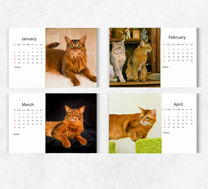 Somali Cat Desk Calendar 2026-2027